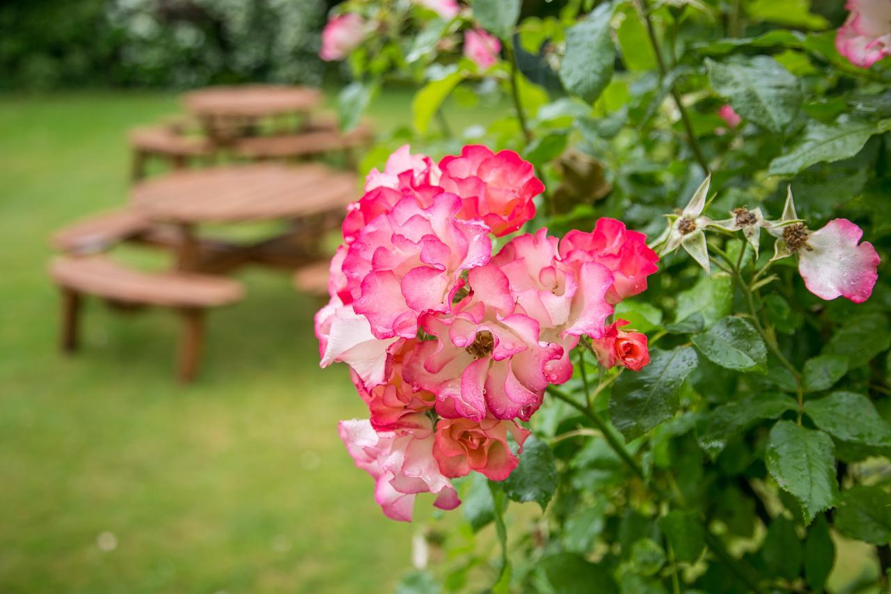 Beechwood Close York Bagian luar foto